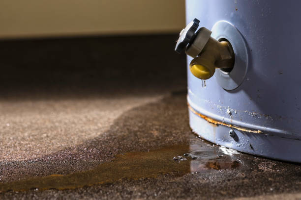 Best Water damage repair service  in Jonesville, VA