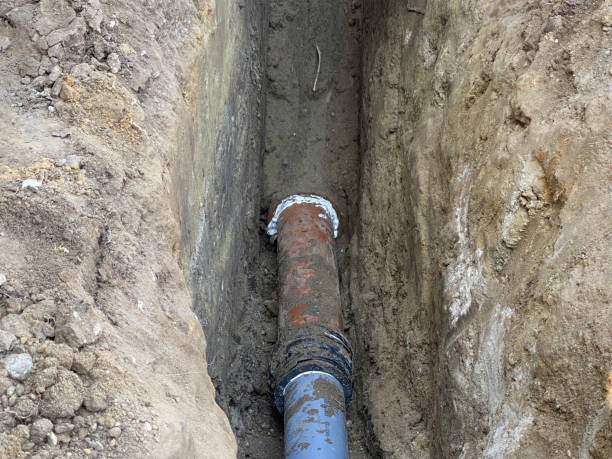 Best Flood restoration services  in Jonesville, VA