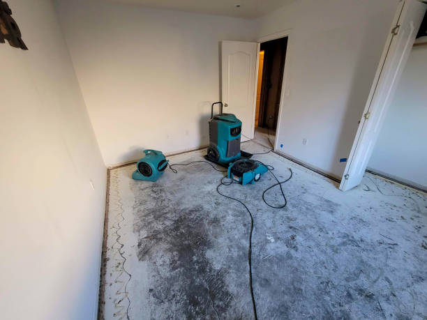 Best Fire Damage Restoration  in Jonesville, VA