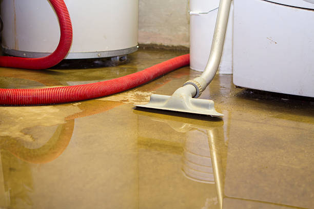 Best Commercial water damage restoration  in Jonesville, VA