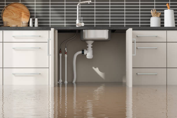 Best Water damage contractors near me  in Jonesville, VA